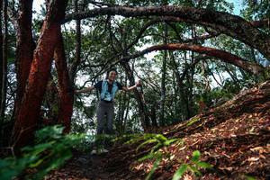 BIB: 
                            <button type="button" onclick="openModal(26346901)" class="btn btn-primary btn-sm float-right btn-popup" data-toggle="modal" data-target=".modal-high-quality">
                        <i class="fas fa-shopping-cart"></i> Add to Cart
                    </button>
                                            <button type="button" onclick="isThisMe(26346901, true)" class="btn btn-success btn-sm float-right btn-popup btn-isme hidden" data-toggle="tooltip" data-placement="bottom" title="นี่คือรูปของคุณใช่ไหม คลิกที่นี่เพื่อเอาเข้าอัลบั้ม">
                        <i class="fas fa-plus"></i> Add to album
                    </button>
                    <button type="button" onclick="isThisMe(26346901, false)" class="btn btn-warning btn-sm float-right btn-popup btn-isnotme hidden">
                        <i class="fas fa-ban"></i> Remove from album
                    </button>